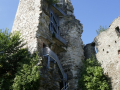 Ruine Schaunburg 
