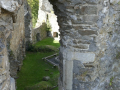 Ruine Schaunburg 
