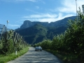 Mit der Thesis durch Südtirol