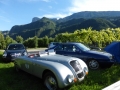 Mit der Thesis durch Südtirol