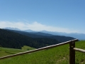 Mit der Thesis durch Südtirol