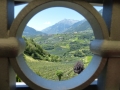 Mit der Thesis durch Südtirol