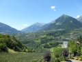 Mit der Thesis durch Südtirol