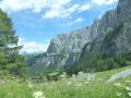 Mit der Thesis durch Südtirol