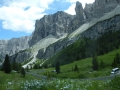Mit der Thesis durch Südtirol
