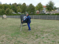 Bogensportanlage Artemis beim BORG Neulengbach