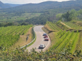 Montecarlo Treffen Wachau 2026