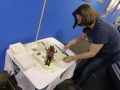 Oldtimermesse Tulln 2015
