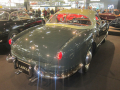 Aurelia B24 Spider