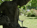 Villa Del Torre 