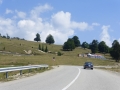 Transalpina