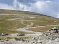 Transalpina