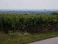 Sommerausfahrt 2006