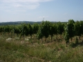 Sommerausfahrt 2006