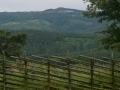 Sommerausfahrt 2011