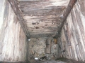 Sommerausfahrt 2011