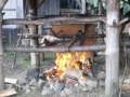 Sommerausfahrt 2011