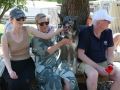 Huskyfieber in Zillingdorf