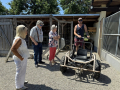 Huskyfieber in Zillingdorf