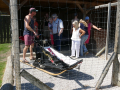 Huskyfieber in Zillingdorf