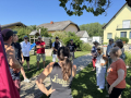 Huskyfieber in Zillingdorf