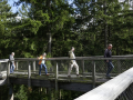 Baumwipfelpfad in Lipno nad Vltavo