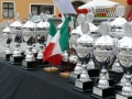 Viva Italia 2013