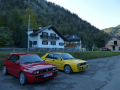 Besucher aus der Gegend