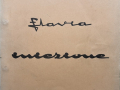 Flavia Einspritzung - Werkstatthandbuch - englisch - Oktober 1967